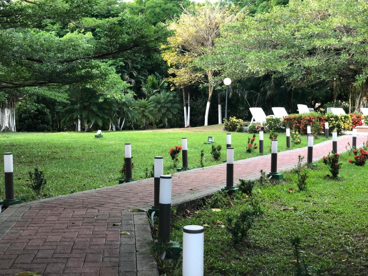 Hotel Los Higuerones Paso Canoas エクステリア 写真